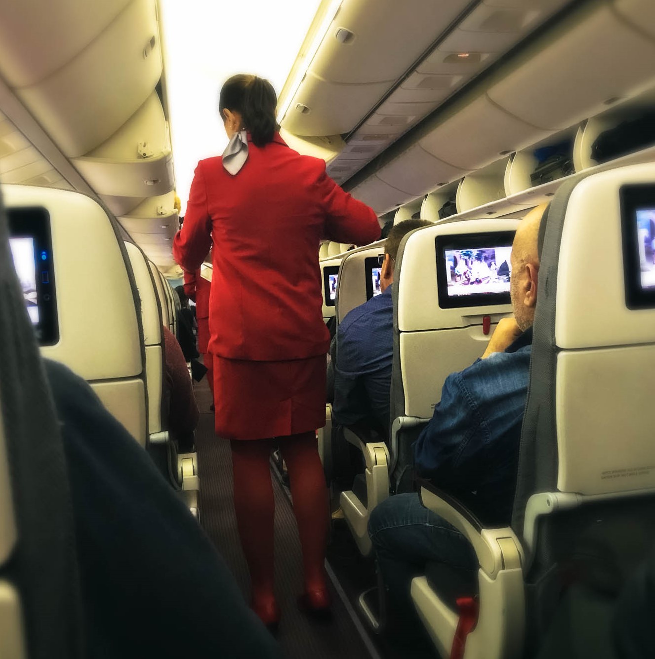 flight-attendant-austrian-air